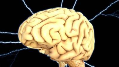Ученые из США отследили путь мысли через участки головного мозга