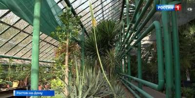 Вход в Ботанический сад Ростова хотят сделать свободным для всех студентов области