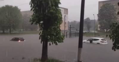 Во Львовской области затопило жилые дома и больницу: машины заглохли в воде (видео)