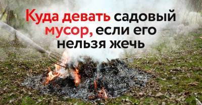 Послушный дачник не сжигает мусор, поговорили с ним по душам - skuke.net - Россия