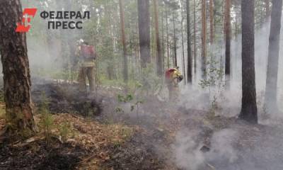 В Свердловской области в километре от поселка дымит лес