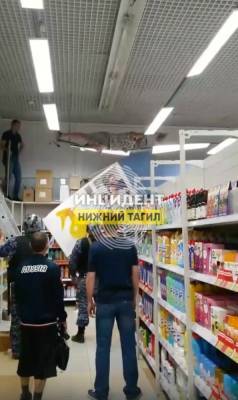 В Нижнем Тагиле посетитель разгромил магазин, бегая по его потолку и стеллажам