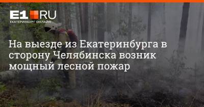 На выезде из Екатеринбурга в сторону Челябинска возник мощный лесной пожар