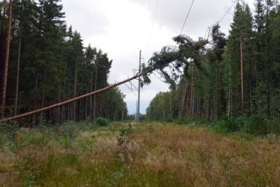 Аварийные бригады продолжают восстанавливать электроснабжение в Ленобласти