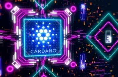 Число Cardano-миллионеров выросло в 13 раз