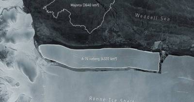 От Антарктиды откололся самый большой в мире айсберг