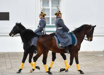 Церемонию развода конных и пеших караулов возобновят в Кремле