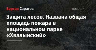 Защита лесов. Названа общая площадь пожара в национальном парке «Хвалынский»