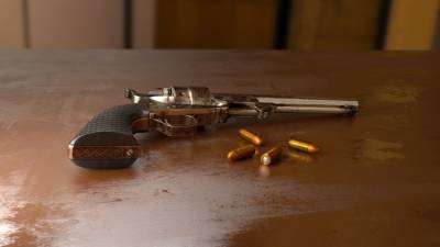 После нападения на школу у жителей Татарстана изъяли около 40 единиц оружия