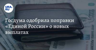 Госдума одобрила поправки «Единой России» о новых выплатах