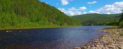 В Московской области к решению проблемы загрязнения водоемов подключаются активисты