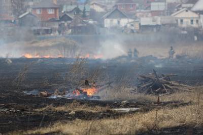 В пригороде Екатеринбурга рядом с Челябинским трактом горит полгектара леса