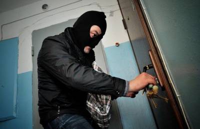 Серийных домушников задержали полицейские в Подмосковье
