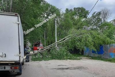 В центре Твери дерево упало на провода и перекрыло дорогу