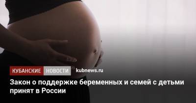 Закон о поддержке беременных и семей с детьми принят в России