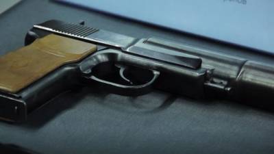В Татарстане после нападения на школу у жителей изъяли 40 единиц огнестрельного оружия