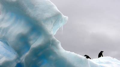Самый большой в мире айсберг откололся от Антарктиды и установил рекорд