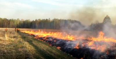 Природный пожар под Тюменью может угрожать резиденциям губернатора