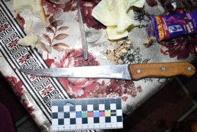 В Винницкой области женщина ножом убила своего сына