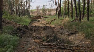В Воронеже неизвестные перекопали дорогу к скандально известному озеру Круглое