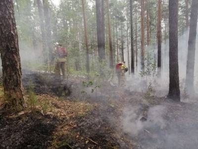 В Екатеринбурге из-за неосторожности отдыхающих разгорелся пожар во втором лесопарке