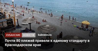 Почти 80 пляжей привели к единому стандарту в Краснодарском крае
