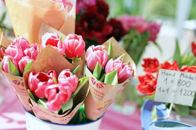 Петербуржцев ждёт фестиваль тюльпанов на Елагином острове