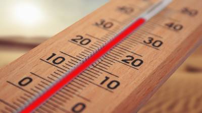 Температуру в Кировской области измеряют с помощью трофейного термометра