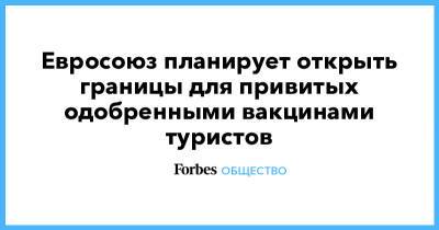 Евросоюз планирует открыть границы для привитых одобренными вакцинами туристов