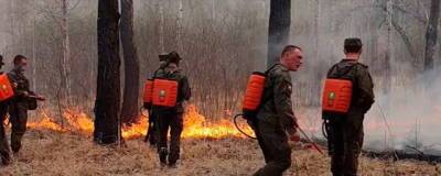В Тюменской области за сутки зафиксировали еще 9 новых природных пожаров