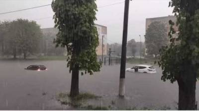 Затопило дома, улицы и автомбили: в Червонограде свирепствовала стихия - novostiua.news - Украина - Червоноград - Гсчс