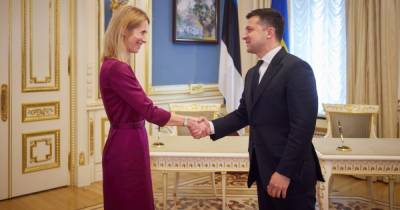 Зеленский с премьером Эстонии подписал совместное заявление о поддержке вступления Украины в ЕС