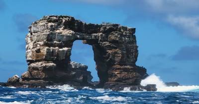 На Галапагосских островах обвалилась одна из самых известных скал — Арка Дарвина: фото