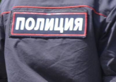 Сасовца оштрафовали за публичное оскорбление полицейского