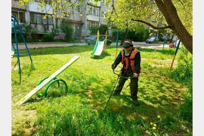 Городские службы Смоленска косят траву каждый день