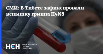 СМИ: В Тибете зафиксировали вспышку гриппа H5N8