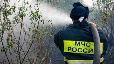 Начавшиеся дожди не помогают справиться с лесными пожарами в России