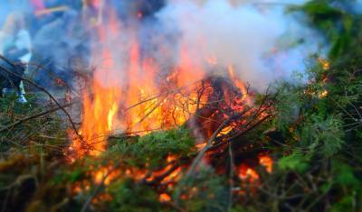 В ХМАО возгорание распространилось на 76 гектаров леса
