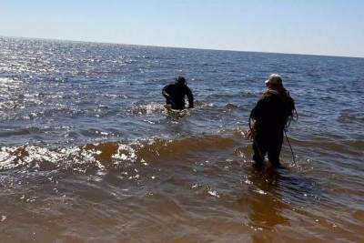 Берег «Камского моря» в Лаишево проверили водолазы