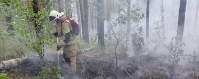 На тушение лесного пожара в пригороде Екатеринбурга уйдут сутки