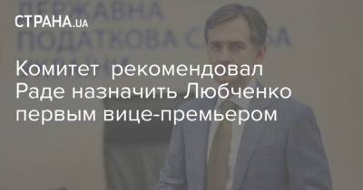 Комитет рекомендовал Раде назначить Любченко первым вице-премьером