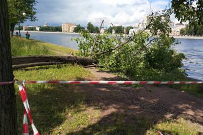 Перед грозой в Петербурге закрыли парки, а жителей попросили быть осторожными