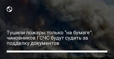 Тушили пожары только "на бумаге": чиновников ГСЧС будут судить за подделку документов - liga.net - Луганская обл. - район Новоайдарский - Гсчс