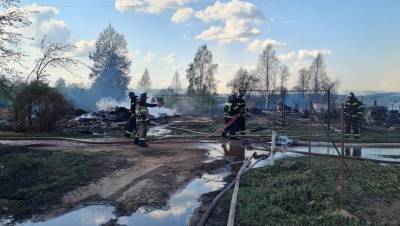 Часовня XVIII века и 20 домов сгорели в селе в Новгородской области