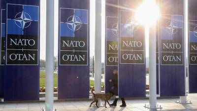 НАТО ищет себе новое применение в партнёрстве с ЕС