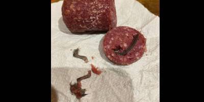 В колбасе Золотистая одесского мясокомбината Гармаш обнаружили лапы крыс, фото, видео - ТЕЛЕГРАФ