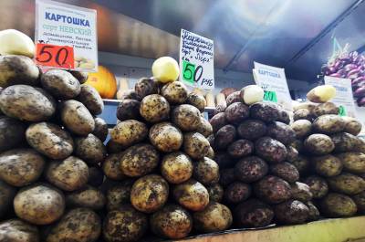 Росстат: картофель с начала года подорожал на 50,9%, капуста — на 37,8%