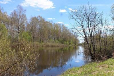 Купальный сезон во Владимирской области откроется 1 июня, но люди уже купаются