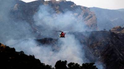 По подозрению в поджоге леса в Калифорнии задержан мужчина