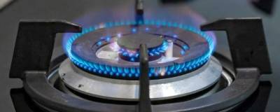 В ГД внесены поправки о бесплатном подключении населения к газу